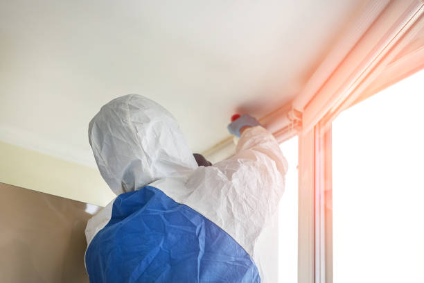 Best Industrial Mold Remediation  in Prairie Heights, WA