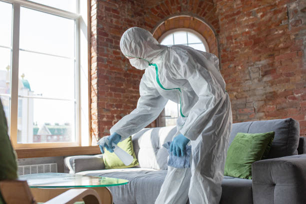 Why You Should Choose Our Mold Remediation Services in Prairie Heights, WA