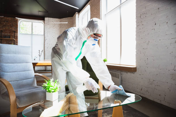 Best Mold Odor Removal Services  in Prairie Heights, WA