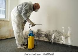 Best Mold Remediation for Healthcare Facilities  in Prairie Heights, WA